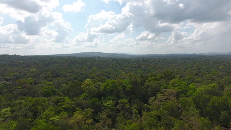 Vuelo-Aéreo-Lento-De-Drones-Sobre-La-Selva-Amazónica-De-La-Guayana.-Hora-Del-Día